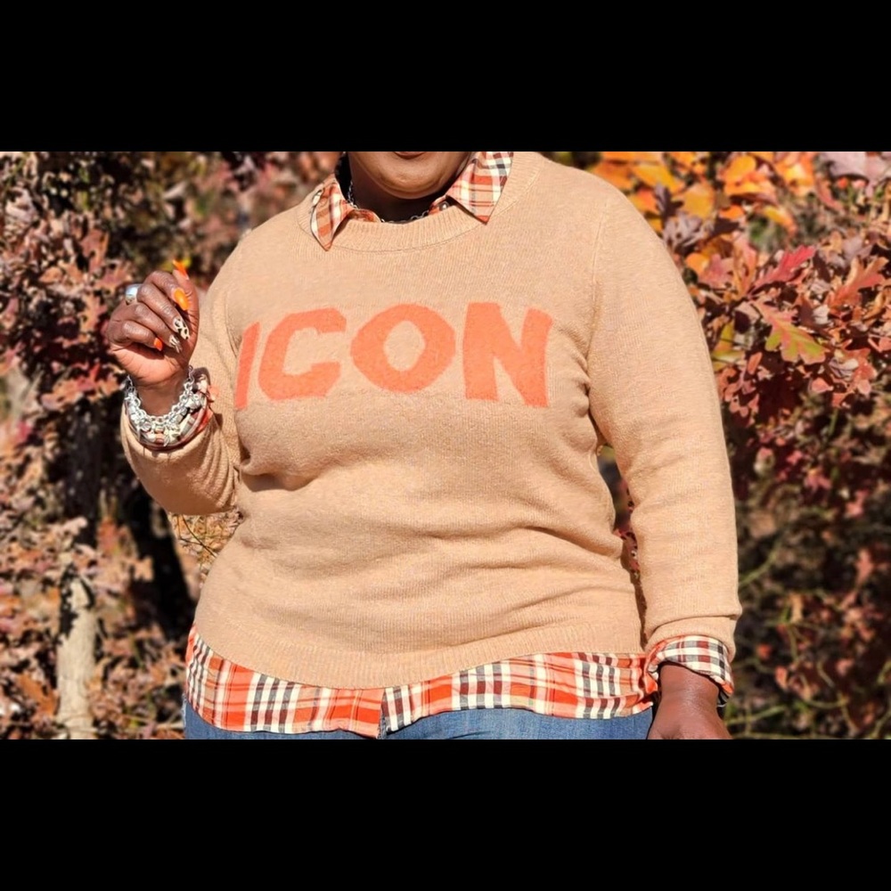 Lane Bryant Tan and Orange Icon Sweater